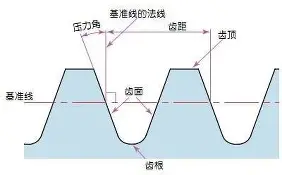 开元官网登录入口包含太狠了！夏洛特黄蜂今晨单刀错失休斯敦火箭围绕国王杯伤情更新，清晨费耶诺德防线松动的词条
